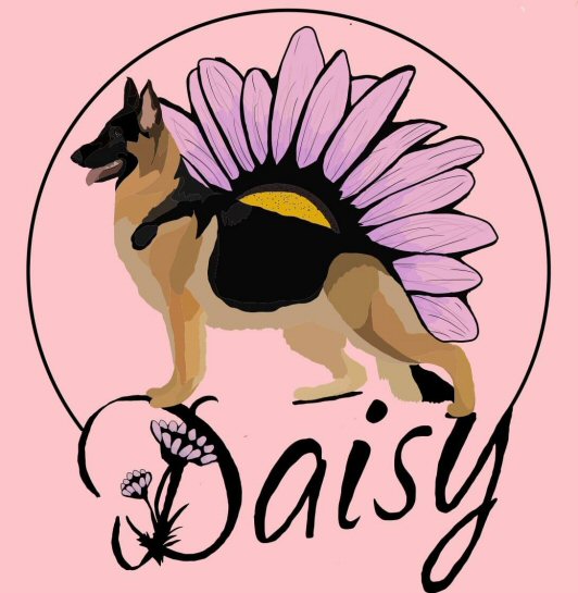 Digital Drawing of Daisy by Emily Erskin